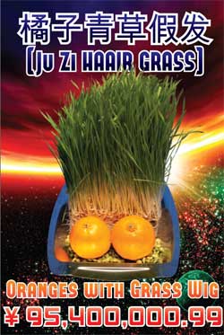 Oranges With Grass Wig Menu Poster